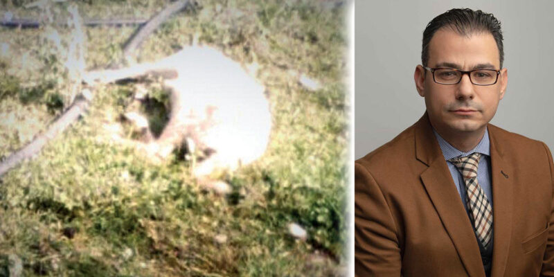 Κουφέλος & Συνεργάτες - Αθώος για τον πυροβολισμό του σκύλου